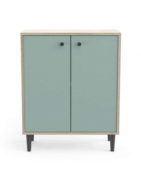 SMARTY - Meuble d'appoint 2 portes imitation Chêne kronberg/Vert 