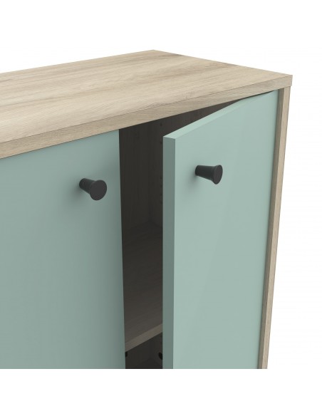 SMARTY - Meuble d'appoint 2 portes imitation Chêne kronberg/Vert 